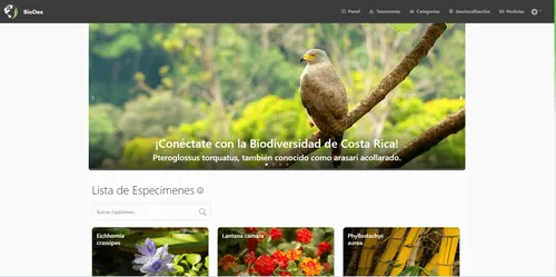 Biodex